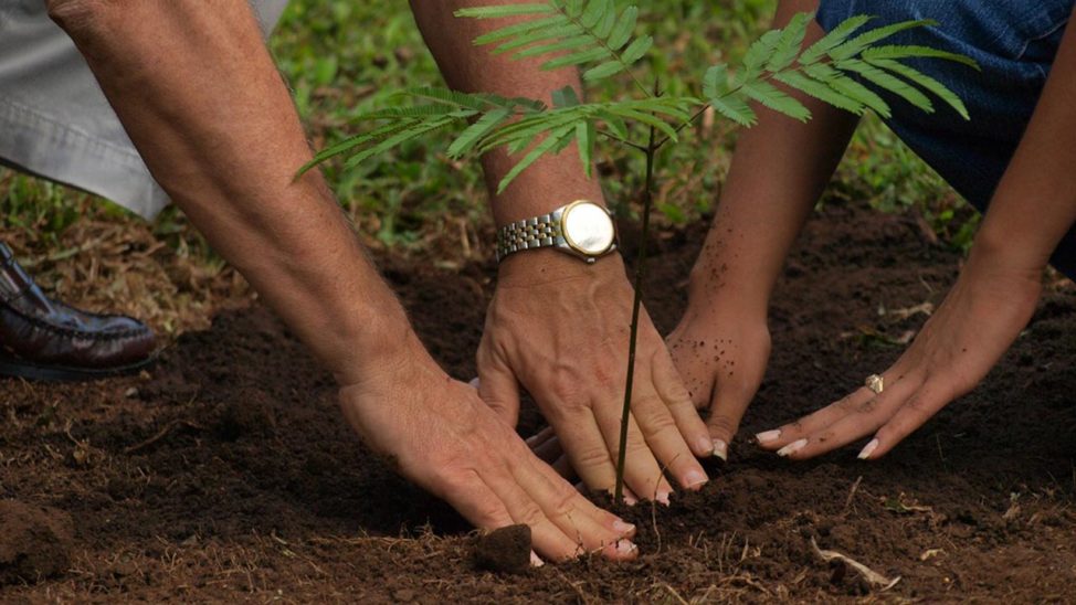 TREE-PLANTING FARM TO EMPOWER RURAL HOUSEHOLDS