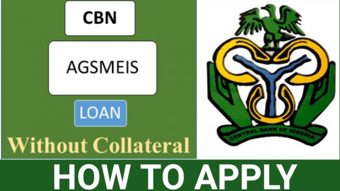 HOW TO APPLY FOR A LOAN FROM THE CBN AGRIC SMALL AND MEDIUM ENTERPRISE SCHEME (AGSMEIS) IN NIGERIA