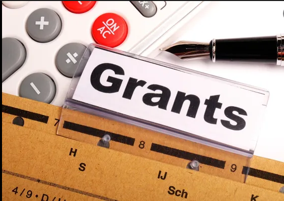 Nigerian Federal Government Grants