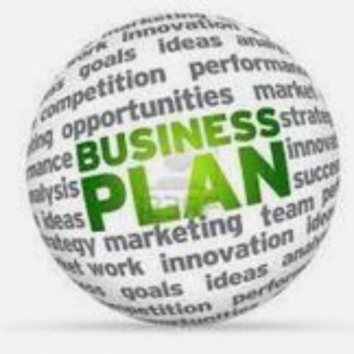 High Quality Business Plan & Proposal 